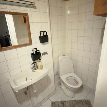 Pax -in The Heart Of The Aurora Borealis Tromsø