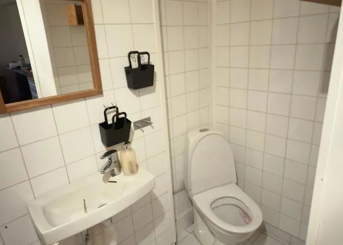 Pax -in The Heart Of The Aurora Borealis Tromso