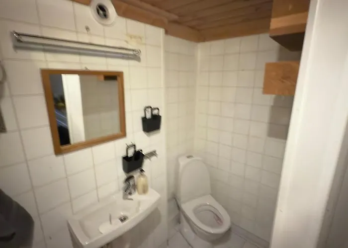 Pax -in The Heart Of The Aurora Borealis Tromso