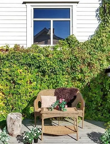 Pax -in The Heart Of The Aurora Borealis *