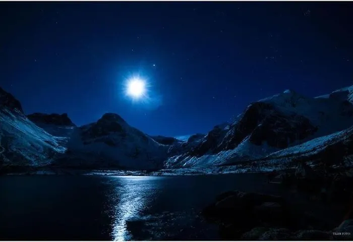 Pax -in The Heart Of The Aurora Borealis * Tromso