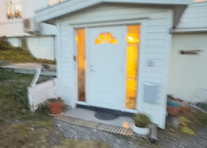 Pax -in The Heart Of The Aurora Borealis