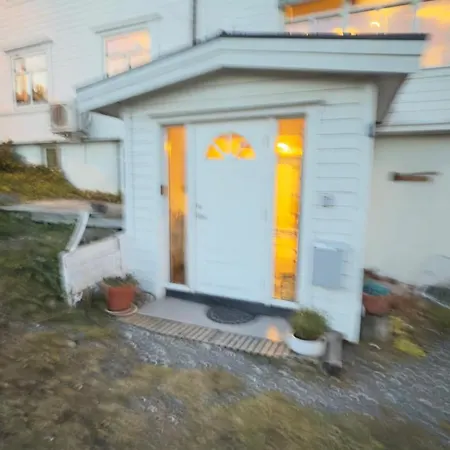 Pax -in The Heart Of The Aurora Borealis